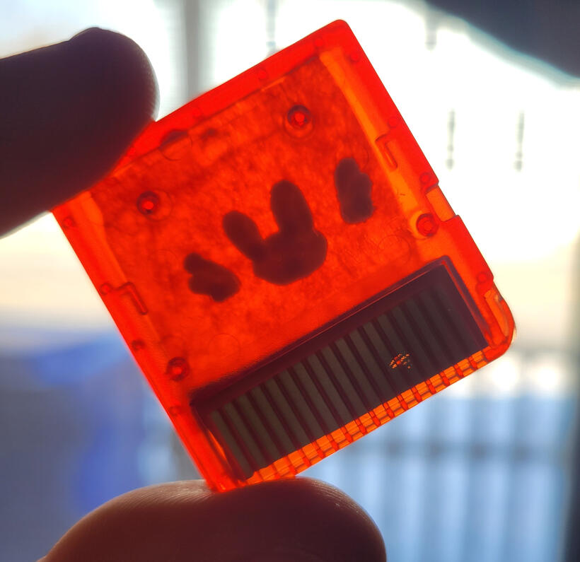 testing out the transparency of the cart phone charms when the transparent plastic is in there. THESE CONTAIN NO CHIPS.